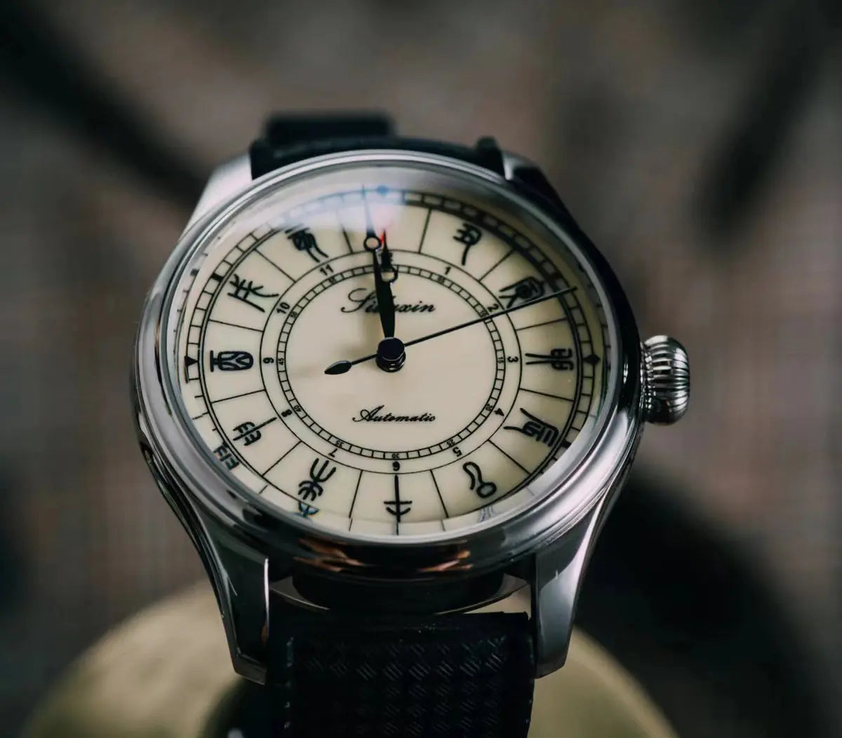 Automatic mechanical stainless steel /bronze diving watch sidaxin