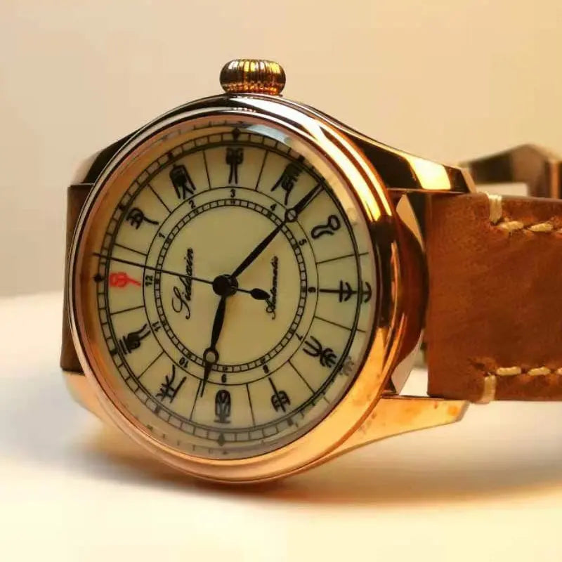 Automatic mechanical stainless steel /bronze diving watch sidaxin