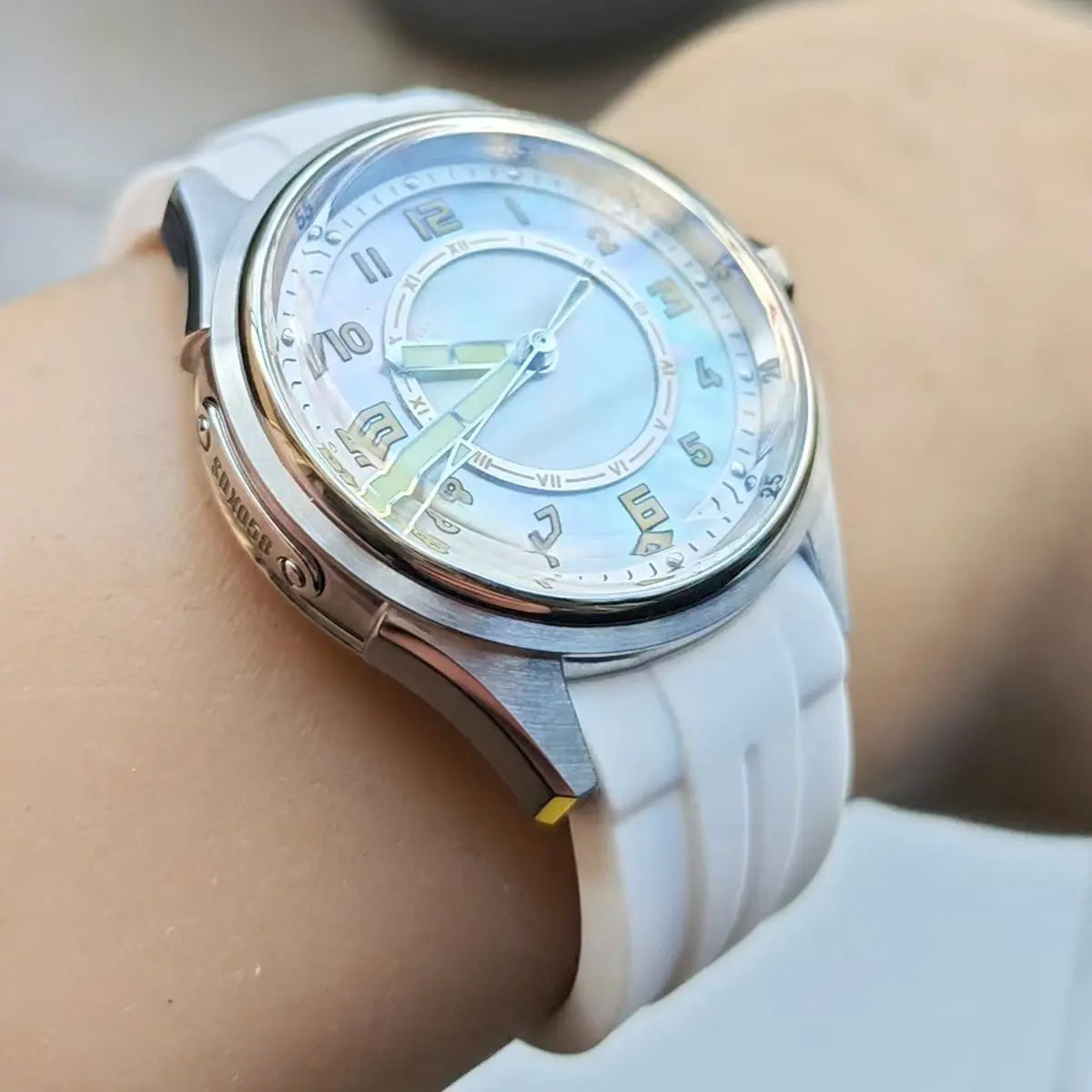 Automatic mechanical stainless steel /bronze diving watch sidaxin