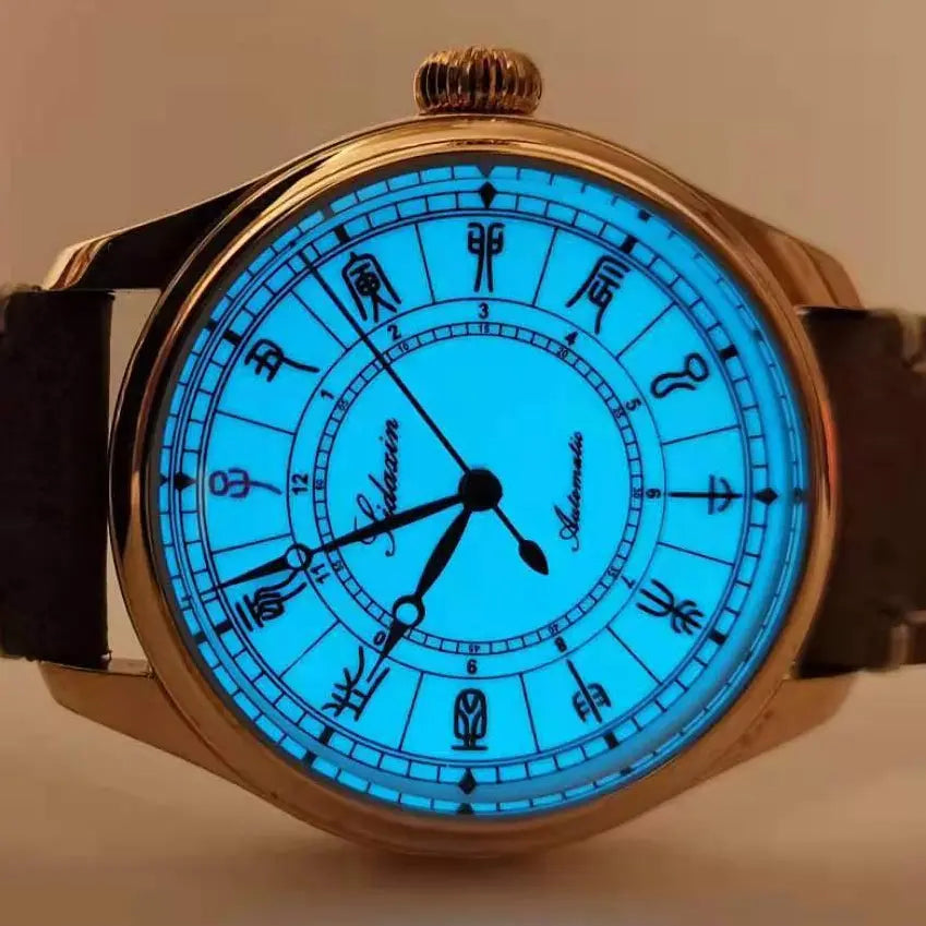 Automatic mechanical stainless steel /bronze diving watch sidaxin