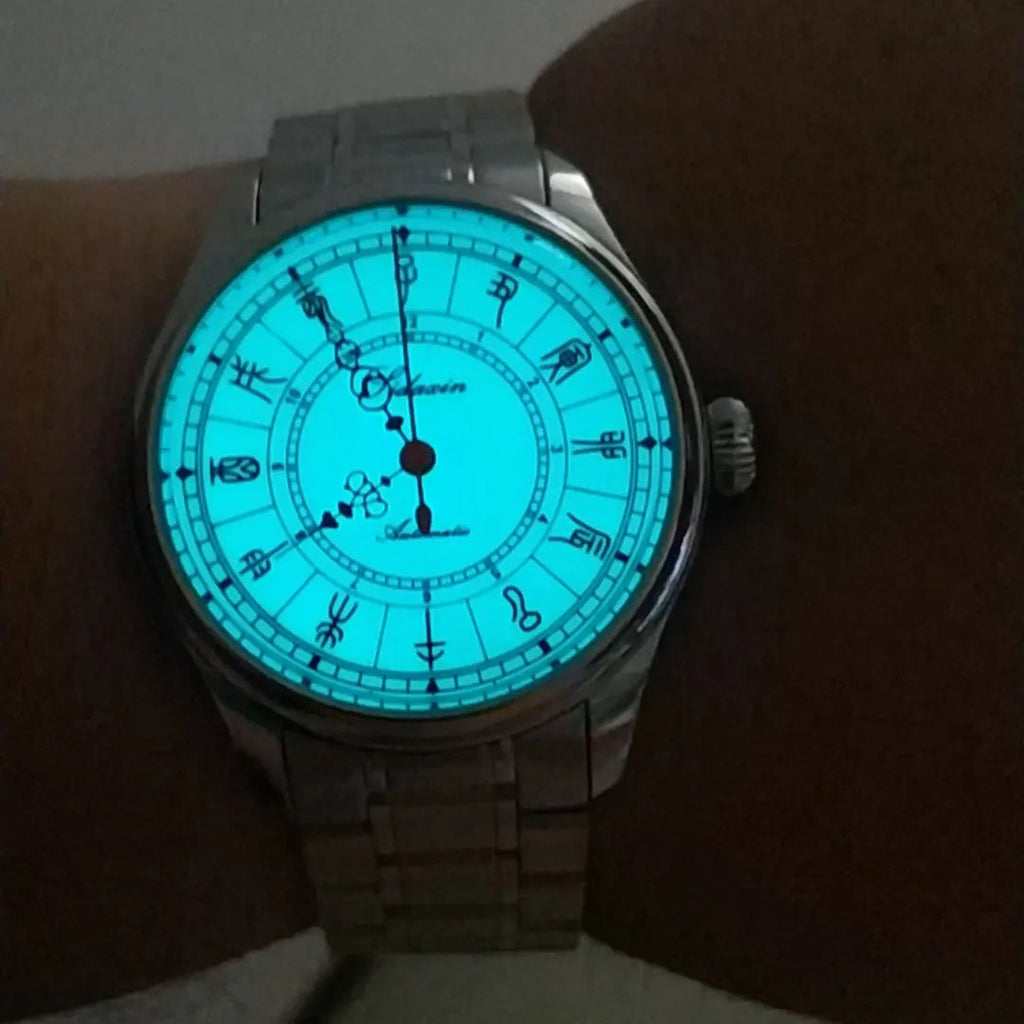 Automatic mechanical stainless steel /bronze diving watch sidaxin